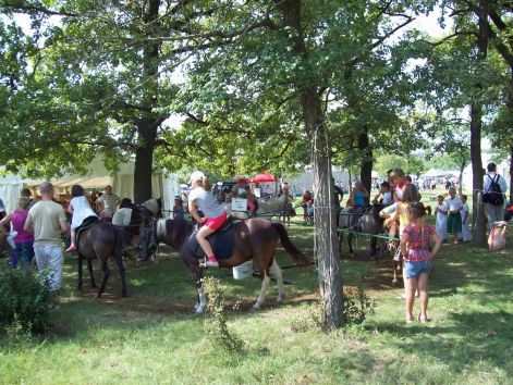 bosztorpuszta-mogy_2010.08.14._042.jpg